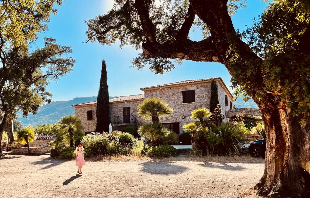 Domaine Du Reginu Ξενοδοχείο Santa-Reparata-di-Balagna Εξωτερικό φωτογραφία