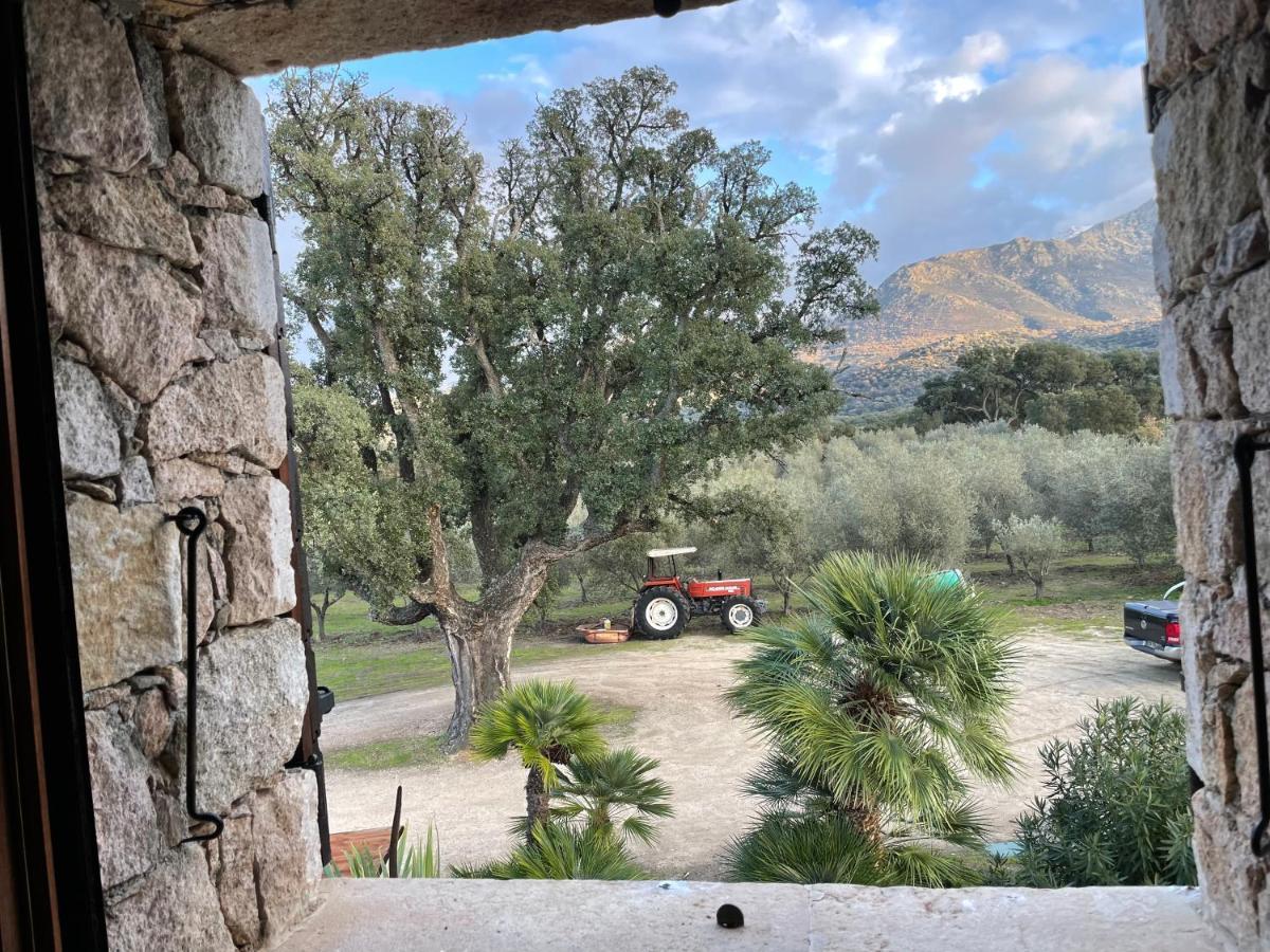 Domaine Du Reginu Ξενοδοχείο Santa-Reparata-di-Balagna Εξωτερικό φωτογραφία