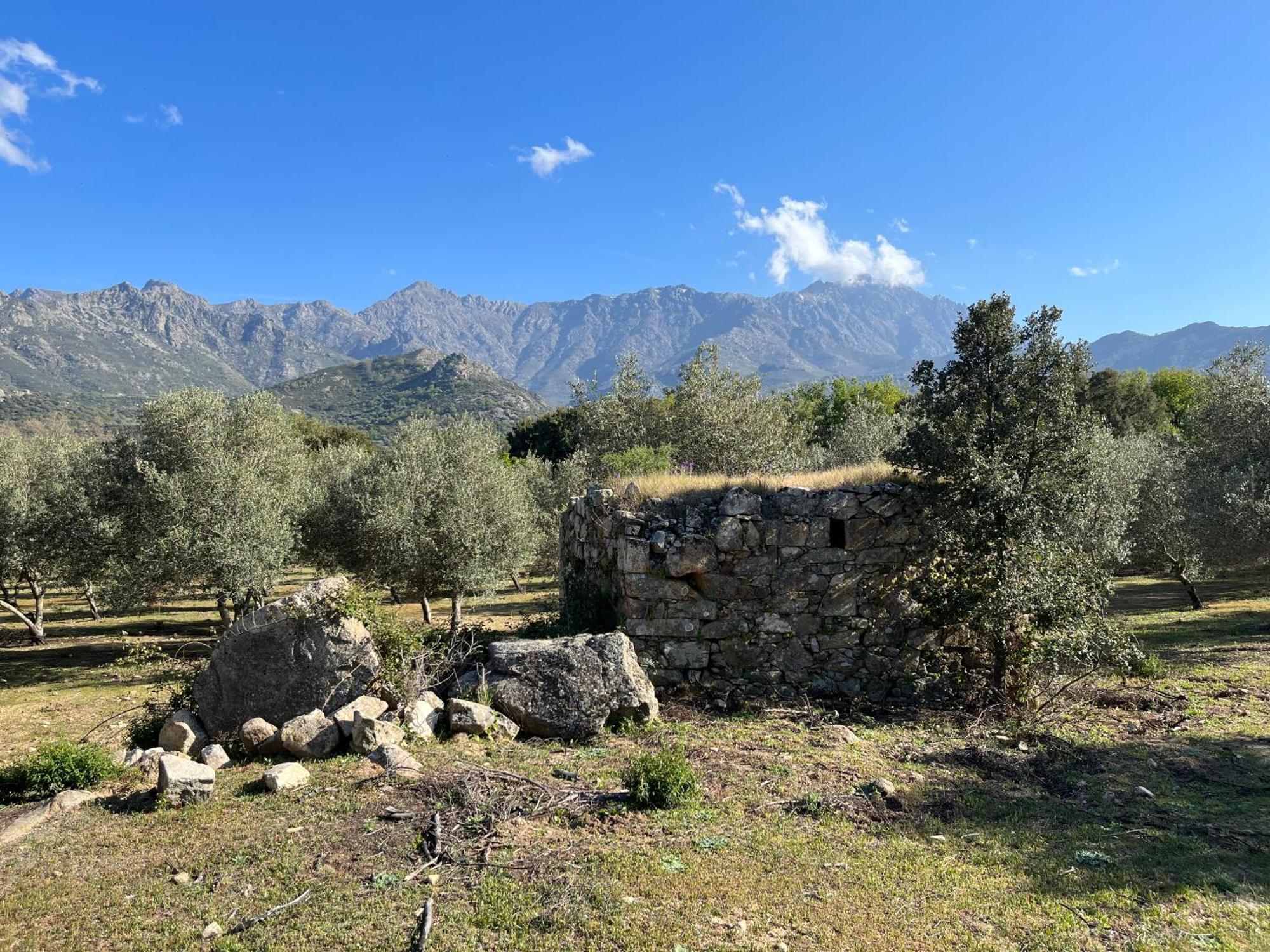 Domaine Du Reginu Ξενοδοχείο Santa-Reparata-di-Balagna Εξωτερικό φωτογραφία